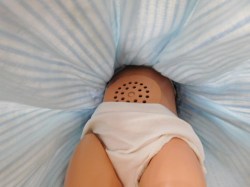 dutch doll blue stripe speaker